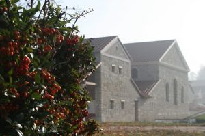 Herbst in der Römerstadt Carnuntum